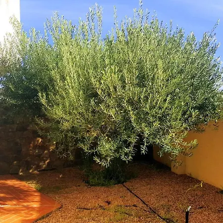 Houseancora